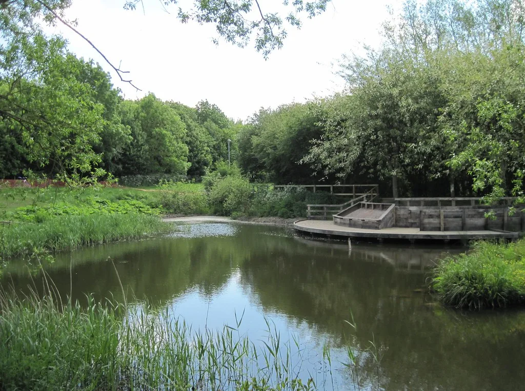 Excavator mid-excavation on a new farm pond, with clay subsoil exposed.