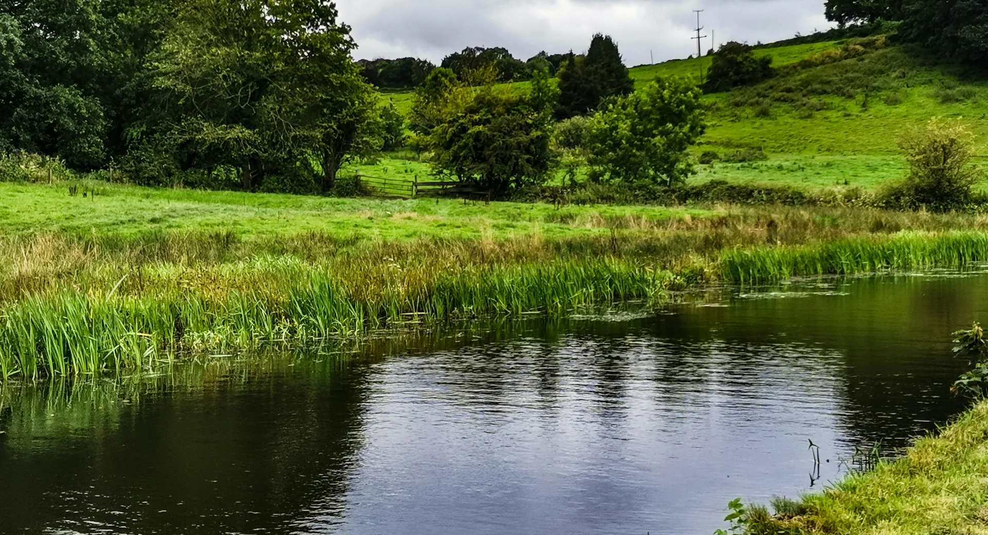 Farm pond with grassy banks on a rural Simcoe County property